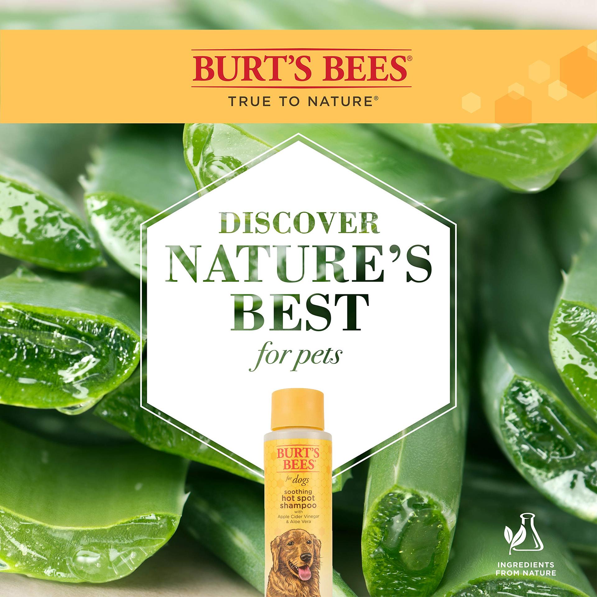 Image de Burt's Bees