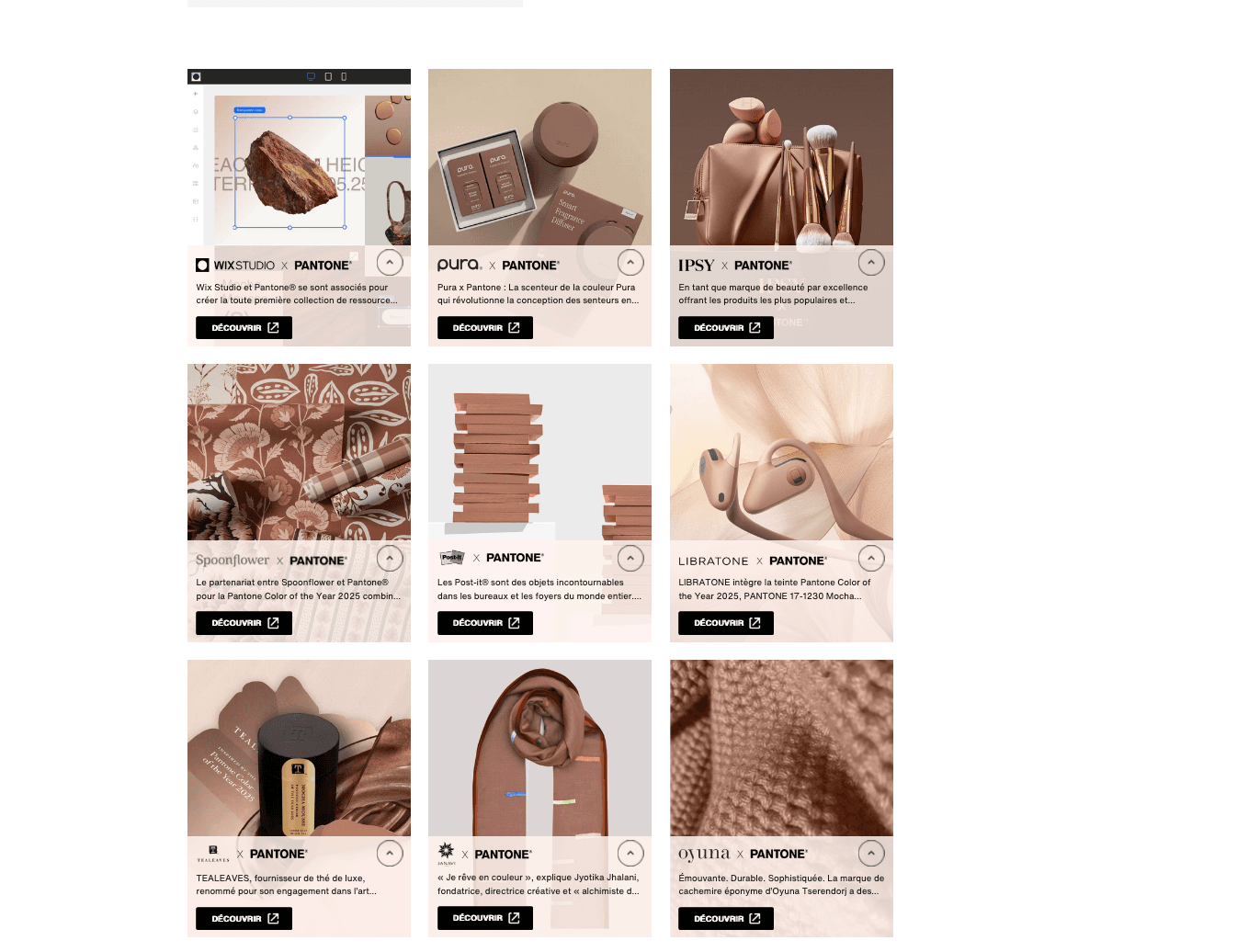 Image of Mocha Mousse